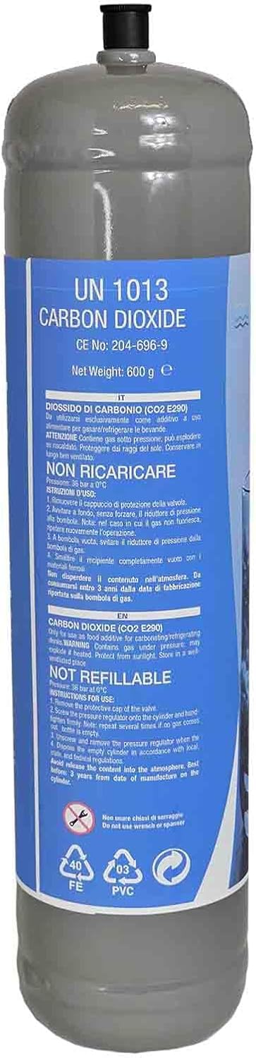 Lot de 10 bouteilles de CO2 jetables 600 g avec raccord M11 x 1 pour eau pétillante e290