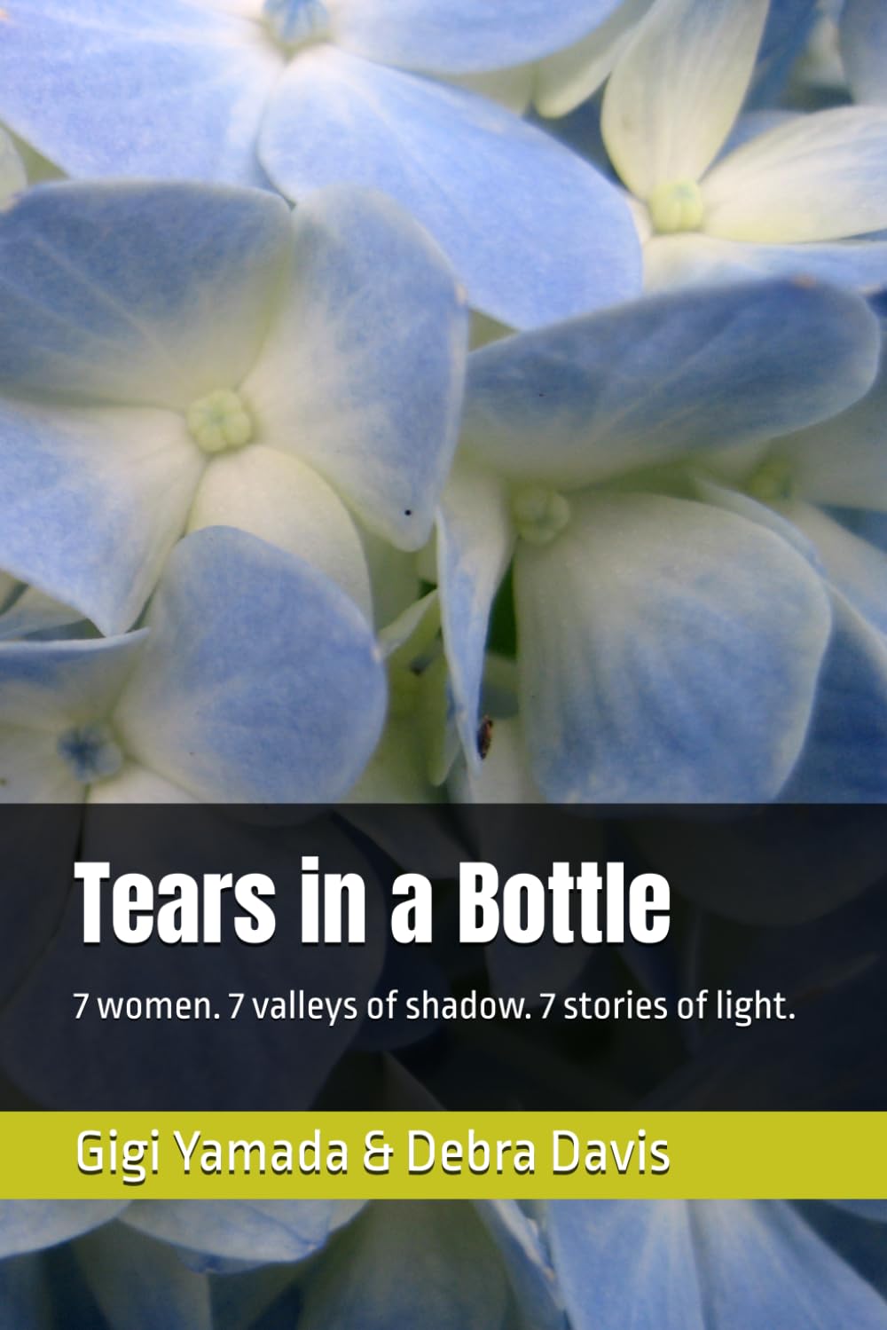 Tears in a Bottle: 7 women. 7 valleys of shadow. 7 stories of light.