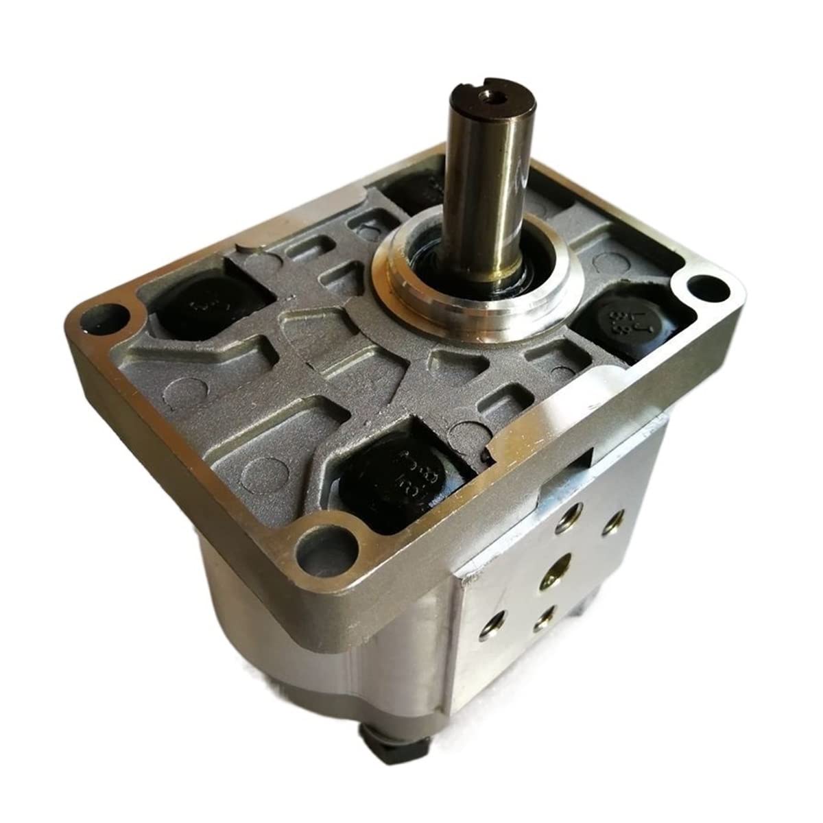 Pompy wodne, części i akcesoria pompa olejowa CBN-E304-FPR CBN-F304-FPR CBN-E306-FPR CBN-F306-FPR pompa ze stopu aluminium przekładnia hydrauliczna (F304-FPR)