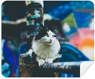 Animal Lazy Cat Photograph Shoot Cleaning Cloth Screen Cleaner 2pcs Suede Fabric