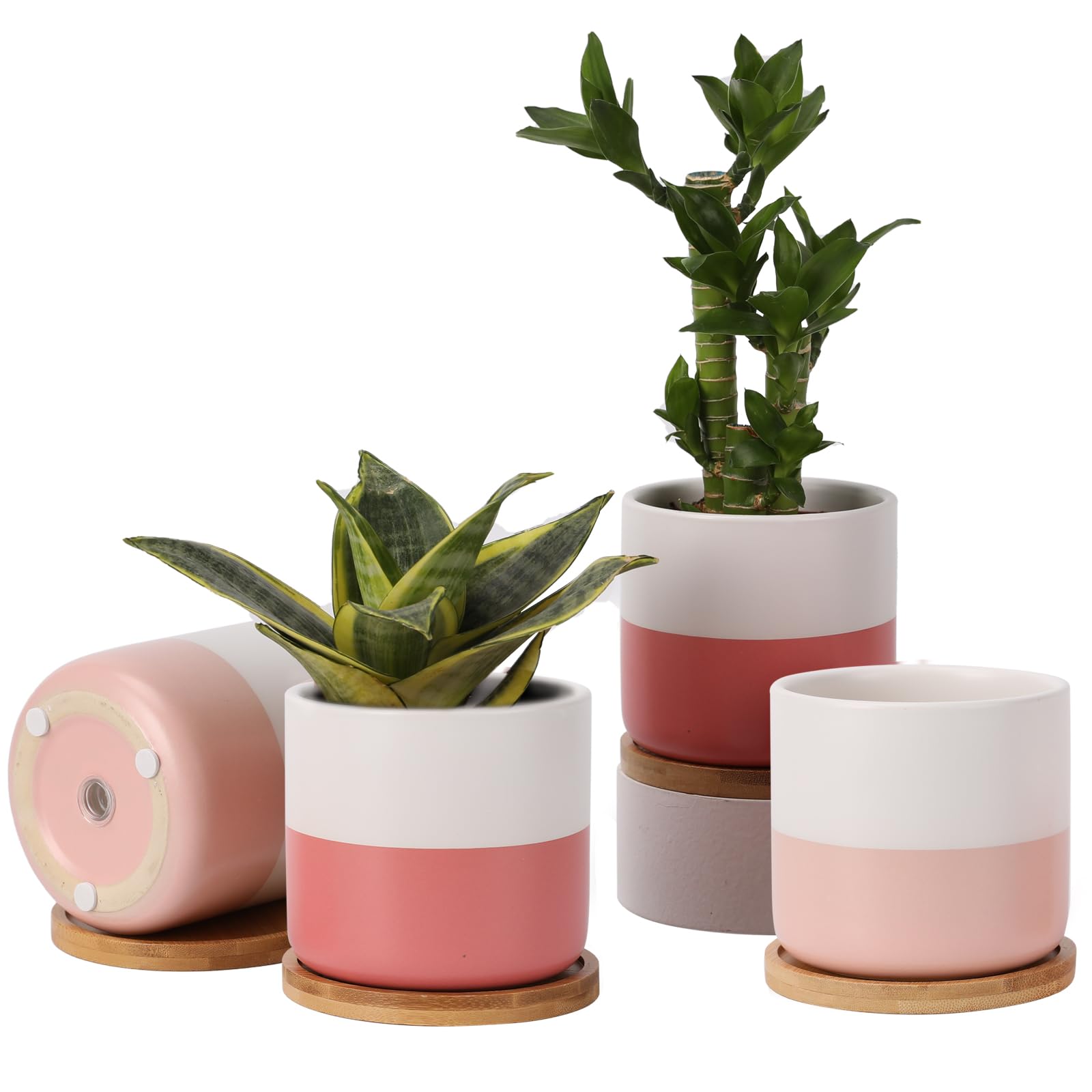 【ton】植木鉢　セット Amazon.co.jp: HANJION (ハンジオン) 4インチ セラミック植木鉢セット