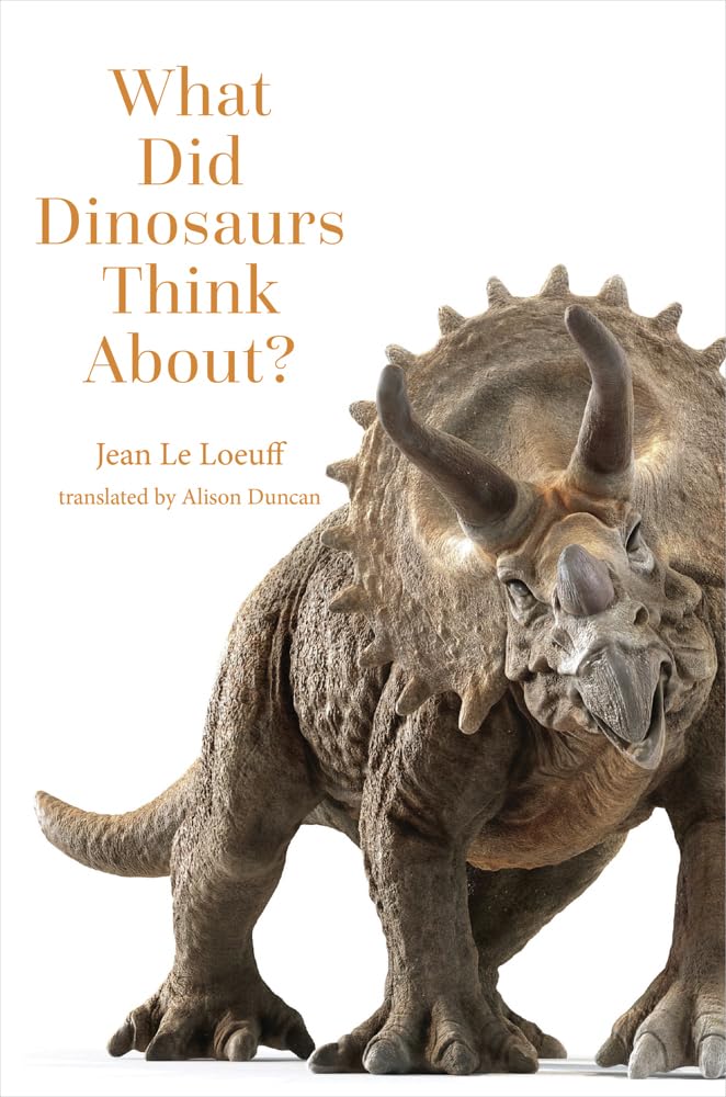 What Did Dinosaurs Think About? by Jean Le Loeuff, Alison Duncan - 9781421452074