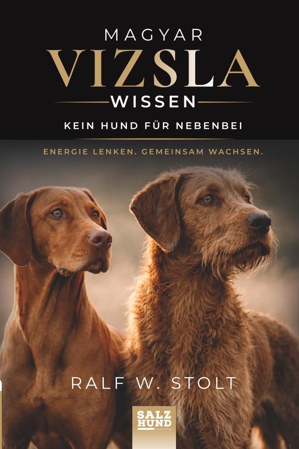 Magyar Vizsla Wissen: Kein Hund für nebenbei – Energie lenken. Gemeinsam wachsen.