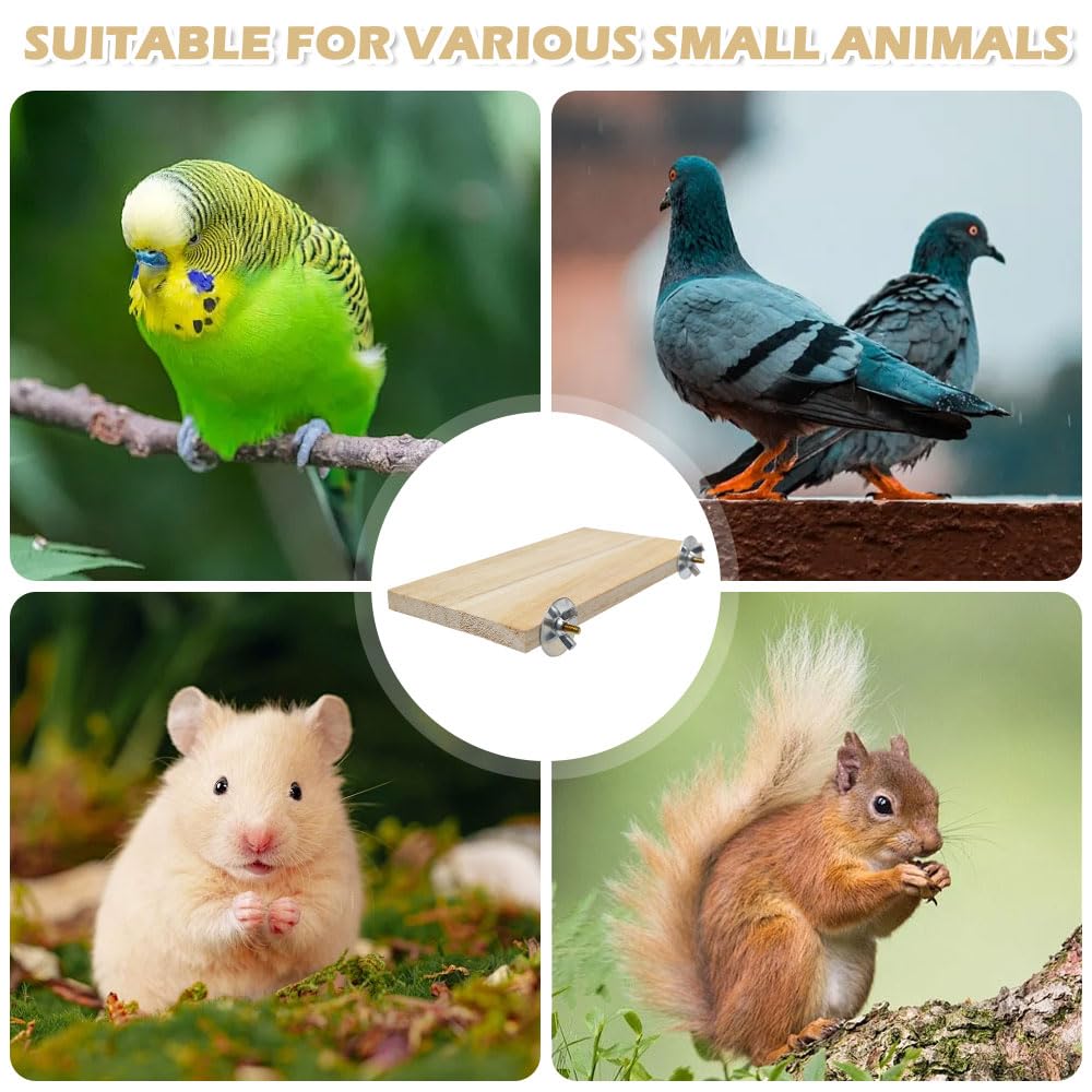 4 Pièces Perroquets Plate-Forme De Repos Plateformes d'escalade en Bois Chinchilla Tremplins en Bois Planches à Ressort Rectangulaires pour Oiseau, Perroquets, Hamsters, Gerbilles