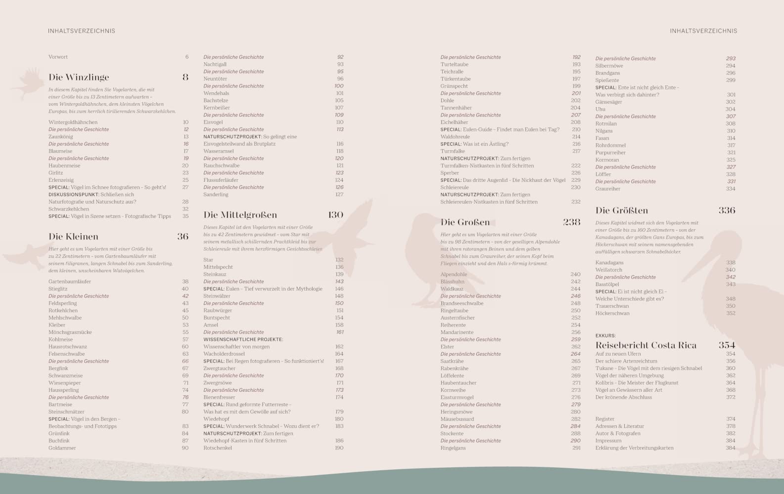 Die magische Welt unserer Vögel: Die heimische Vogelwelt ganz neu entdecken und schützen (BLV Vögel)