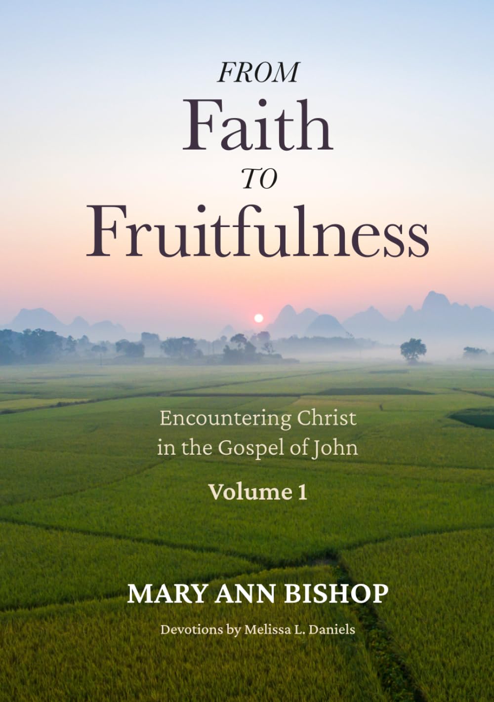 From Faith to Fruitfulness: Encountering Christ in the Gospel of John, Volume 1