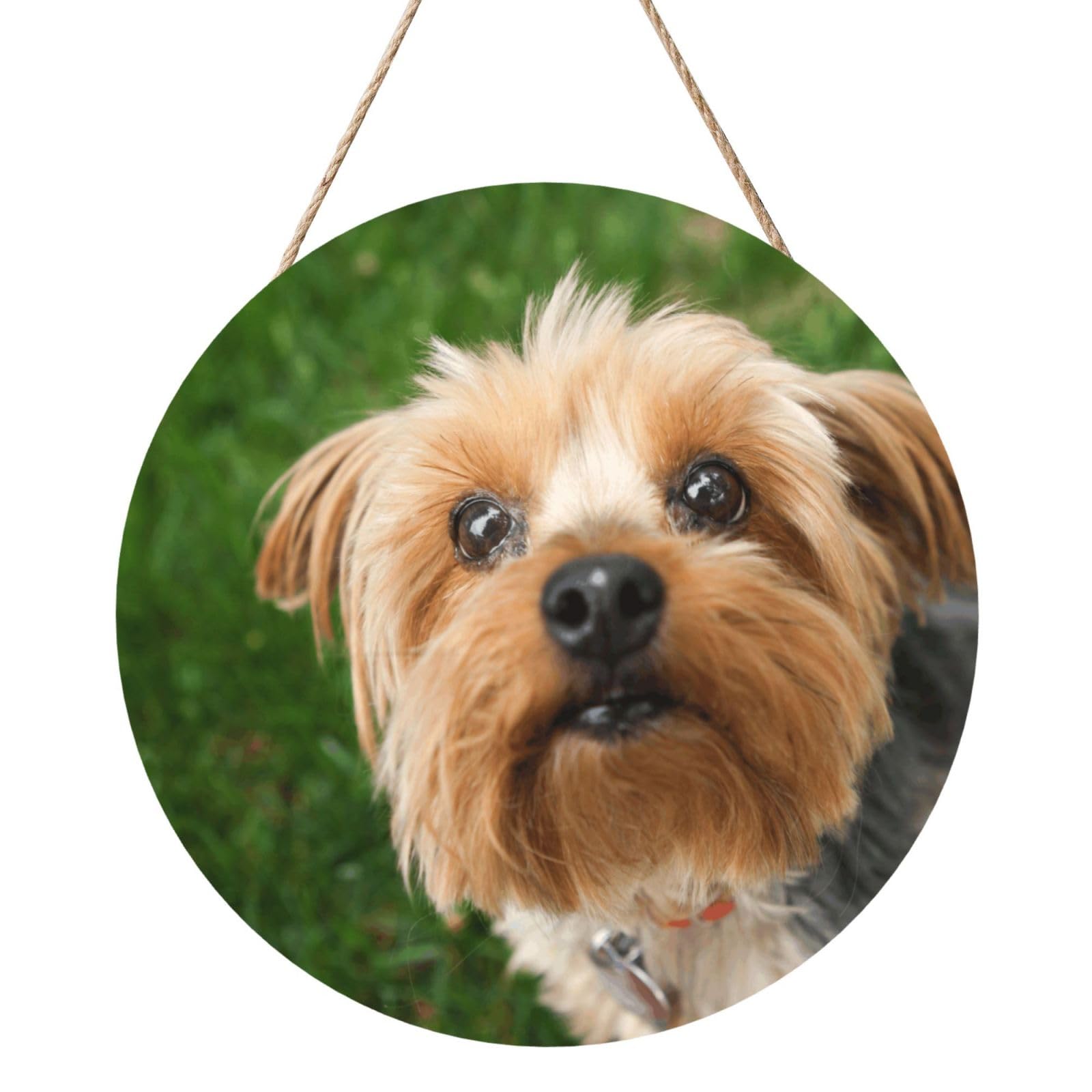 InOmak Yorkshire Terrier Cute Dogs Pets Dogs, Round Wood Panel Painting 12 in, Wall Hanging Painting For Home