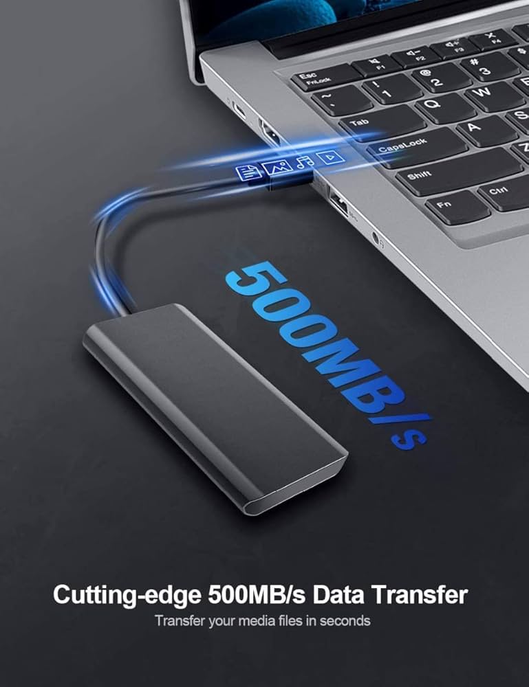 Storite Disco Rigido Esterno USB 2.0 Da 2,5 Con Espansione Di Memoria Da 1TB Archiviazione Di Backup Su HDD, Trasferimento Veloce Dei Dati, Disco Rigido Compatibile Con MAC/Laptop/Desktop (Argento) : Amazon.it: Informatica