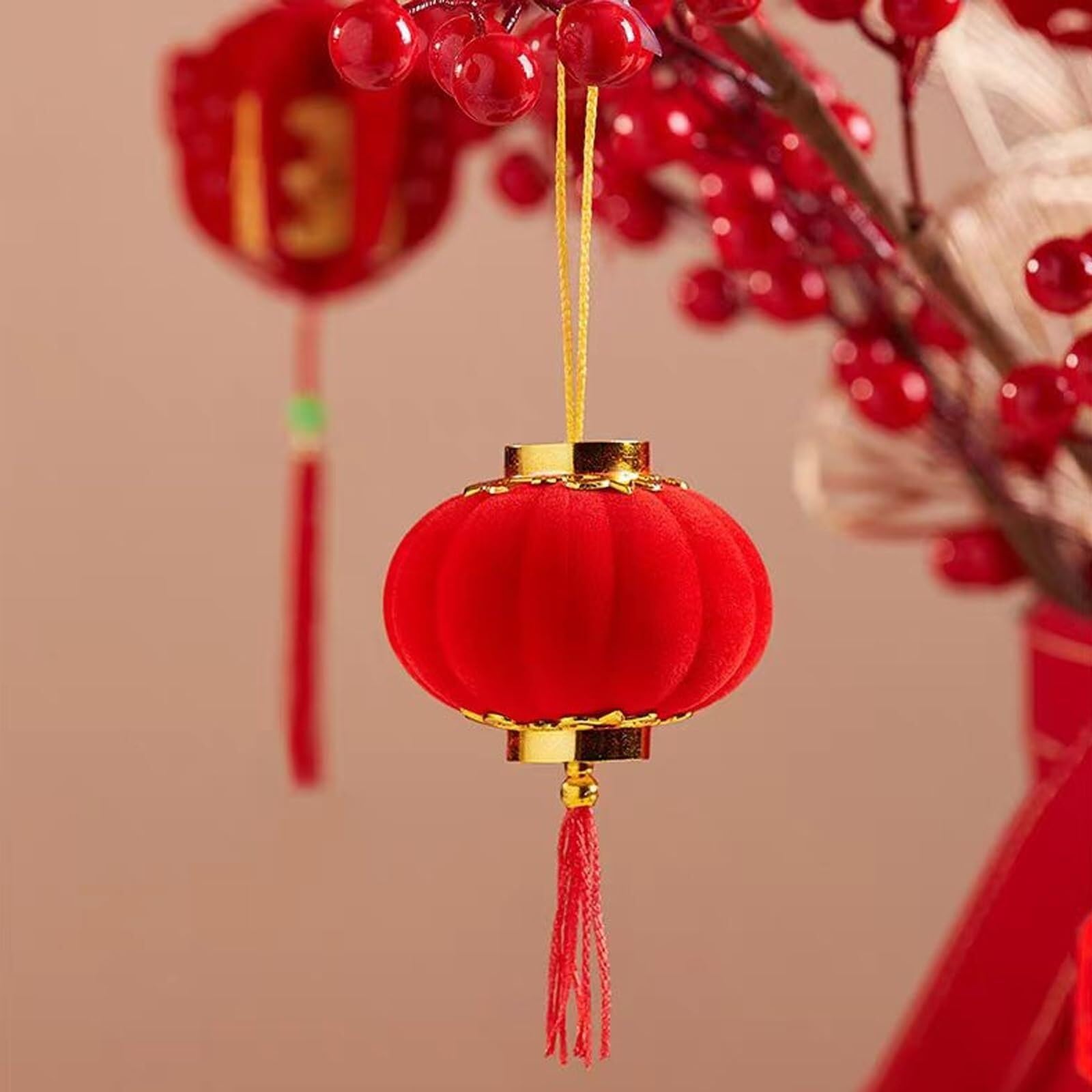 Lanterne di Carta Giardino Lanterne Cinesi Decorative for Capodanno, da Appendere alla Decorazione della Casa Interno Decorazioni(20pcs)