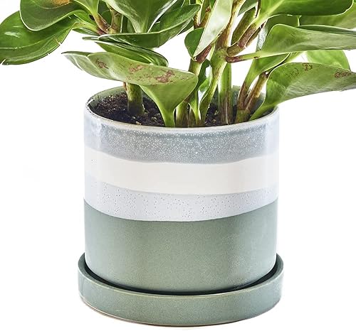 CHIVE Maceta de cerámica 'Minute', bonitas macetas coloridas de 5 pulgadas para plantas de interior y exterior, hermosa decoración moderna de cocina