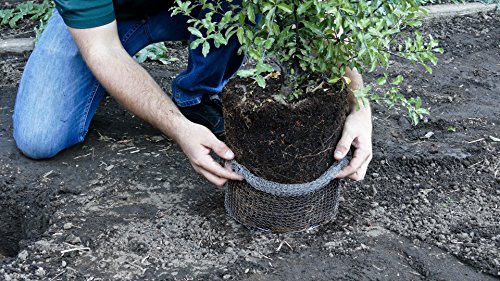 Digger's Root Guard Speed Baskets líquido 2 gal 2 pzas miniatura 4