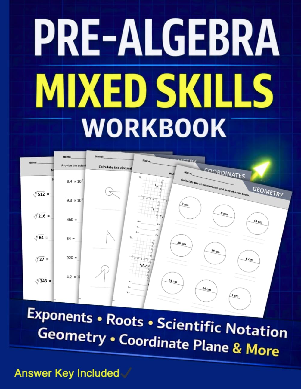 Pre-Algebra Mixed Skills Workbook for Middle School: Coordinate Planes, Geometry, Exponents, Ratios & Scientific Notation (Answer Key Included)