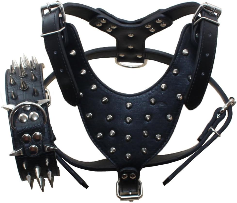 Haoyueer Leather Sharp Spiked Harness