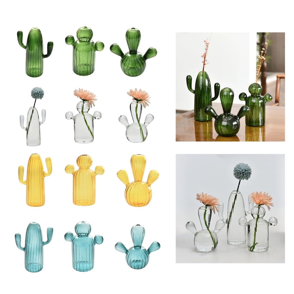 Amazon.de: Kaktus-Glasvase, Hydrokultur, Blumentpfe, Wohnzimmer,  Dekoration, Stiftflasche, Blumenarrangement, Heimdekoration