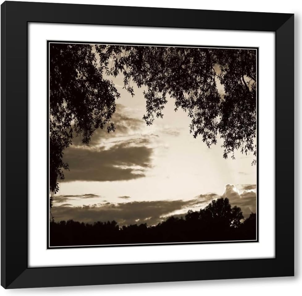 ArtDirect Sunset Trees Sepia Sq II 15x15 Gallery Wrapped Canvas Museum Art by Hausenflock, Alan