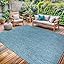 Amazon.com: Washable Indoor Outdoor Rug 5x7 Weather Resistant Area Rugs ...