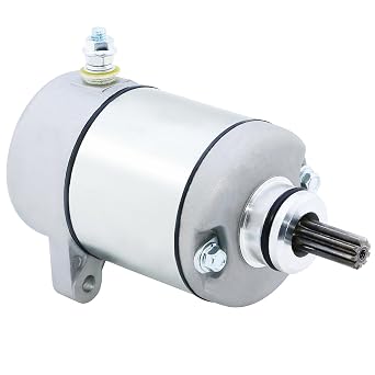 BDELI Starter Replacement New for 00-06 Honda Rancher 350 FourTrax, TRX350 4x4 ES, TRX350FE TRX350FM TRX350TE TRX350TM 2000-2006, 12V, Metal, SMU0215, Powersports