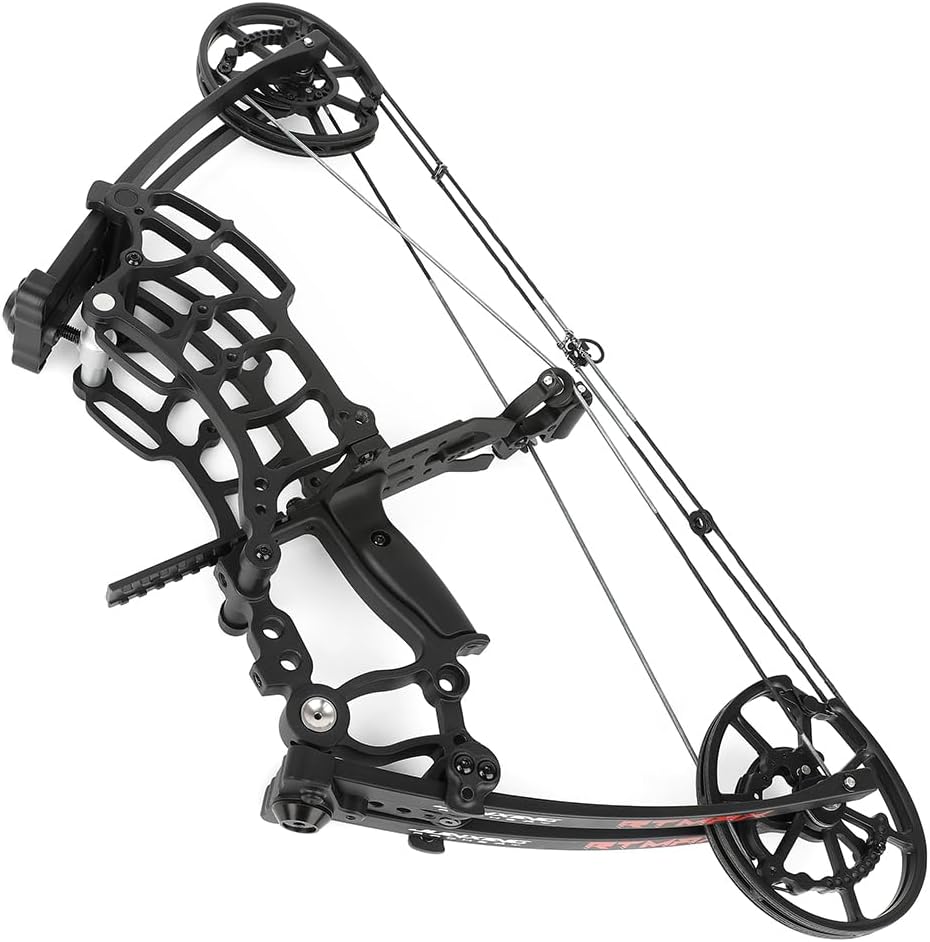 Archery Compound Bow Set Arrows and Steel Balls Dual Purpose Bow 40-65 lbs Draw Weight Adult Hunter for Outdoor Hunting Target Archery Shooting Training