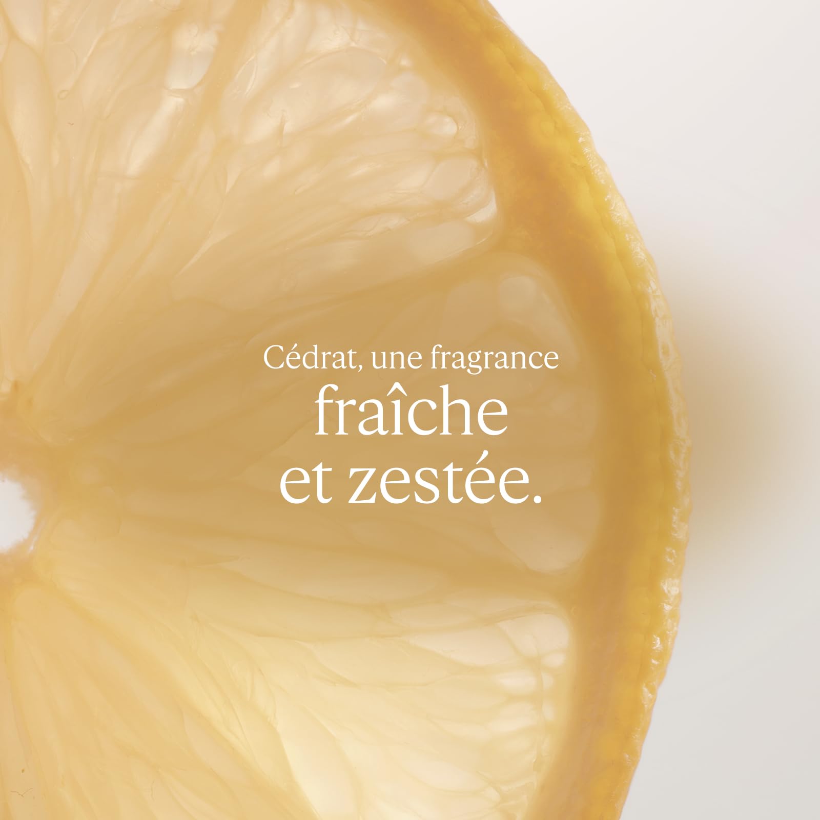 L'OCCITANE - Gel Crème Après-Rasage Eau de Cedrat - 75 ml - Fabriqué en France