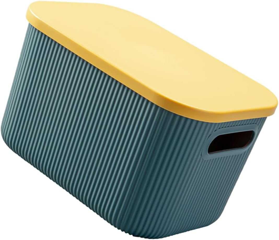 VICASKY Plastic with Lid Storage for Cosmetics and Sundries
