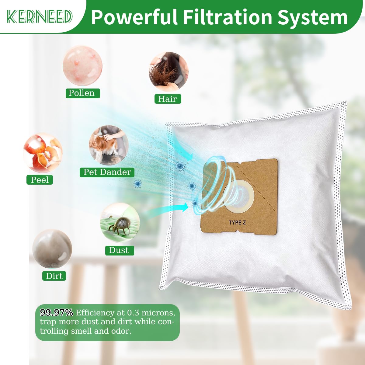 Amazon.com - 8 Pack Type Z HEPA Vacuum Bags for Riccar Moonlight