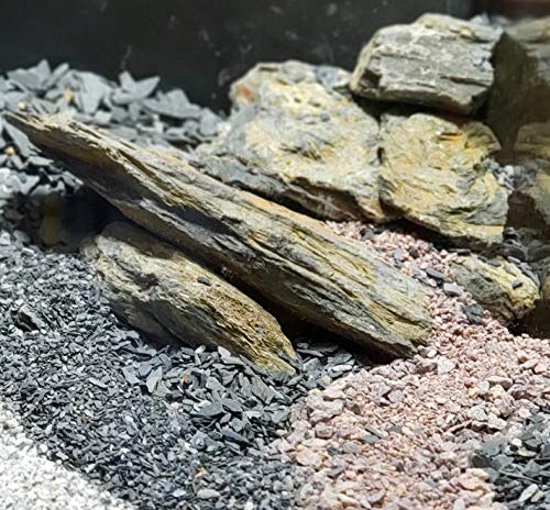 Natural Aquarium Stones Brown/Grey Slate - Size 1 to 3 Inch. PH Neutral. Perfect Rocks for Aquascaping Planted Aquariums, Cichlid and Nano Tanks, Reptile and Amphibian Enclosures (5 lbs) (1-3 inch) - Thumbnail 4