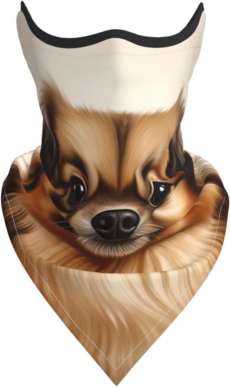 Protection Neck Gaiter Face Cover Cute Pomeranian Balaclava Scarf Mask, Windproof Breathable Sun Shield for Men Women, Skiing Hiking Cycling Outdoor Sports