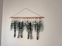 Review Image by Noemy C. Noemy C.