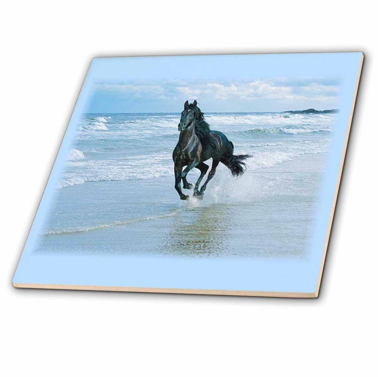 Carrelage mural chevaux plage océan en céramique 30,5 cm 3dRose CT 38919 décoration