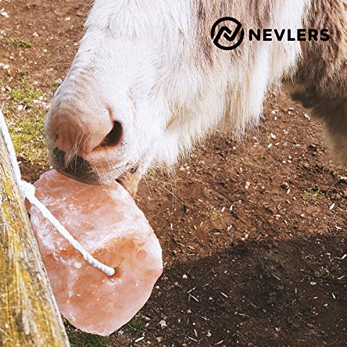 Nevlers 2 Pack Himalayan Salt Lick On Ropes For Animals -All Natural Pure Mineral Block - Himalayan Salt Block For Deer, Salt Block For Horses, Cows, & Other Livestock - 4.5-6 Lbs Each #TOP2