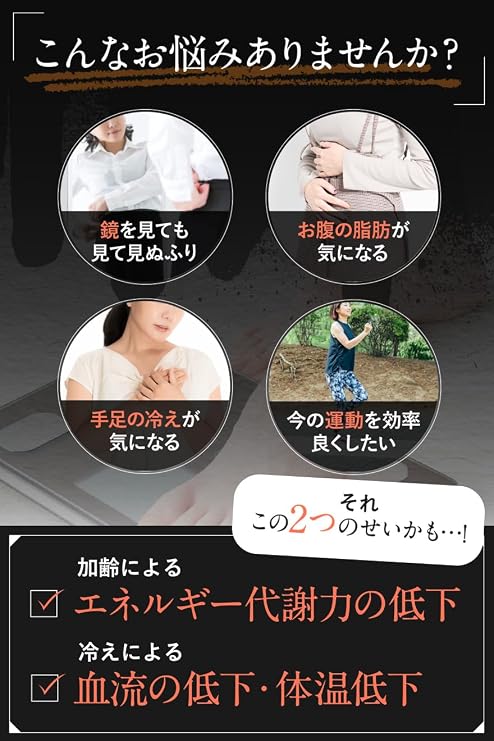 SLILIN F 3 Bags 3 Month Supply, Warm, Fat Burning, Subcutaneous Fat, Black Ginger, Supplement, Elagic Acid, Basic Metabolism, Support, Ginger, Made in Japan, Reduces Supplement, Burning Type