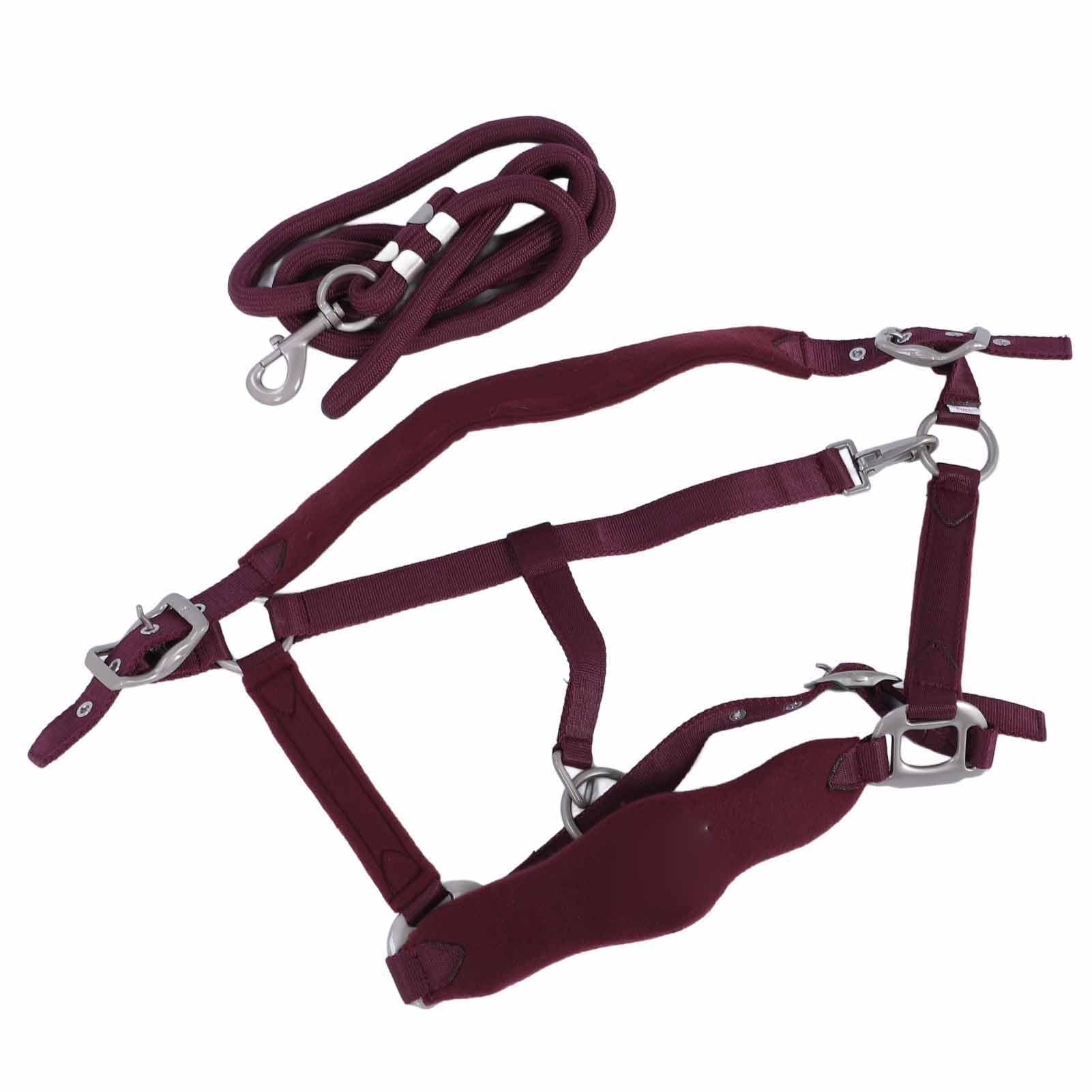 Cabestro para Caballos, Acolchado Ajustable de Poliéster, Juegos de Cabestro y Cuerda de Plomo Antifricción para Caballos, y Cuerda de Plomo para con Correa de 2 M para Entrenamiento Uso