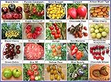 garten tomaten pflege 🌱 Sie bekommen 20 Tomatensorten je Sorte 10 Samen. Jede Sorte wird einzelnd verpackt und betitelt. Alle Sorten wurden in Deutschland gezüchtet.