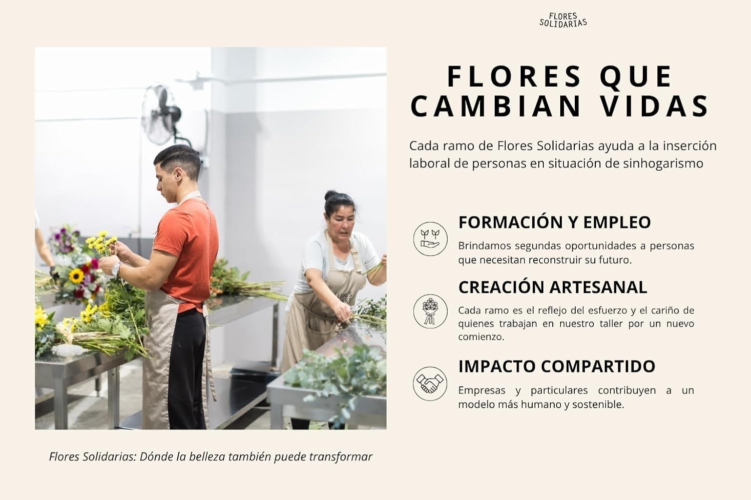 FLORES SOLIDARIAS - Flores Preservadas - Ramos de Flores Preservadas Naturales - Eucalipto Preservado - Regalo día de la Madre - Regalo Aniversario, Regalos San Valentín - Envio 24 h