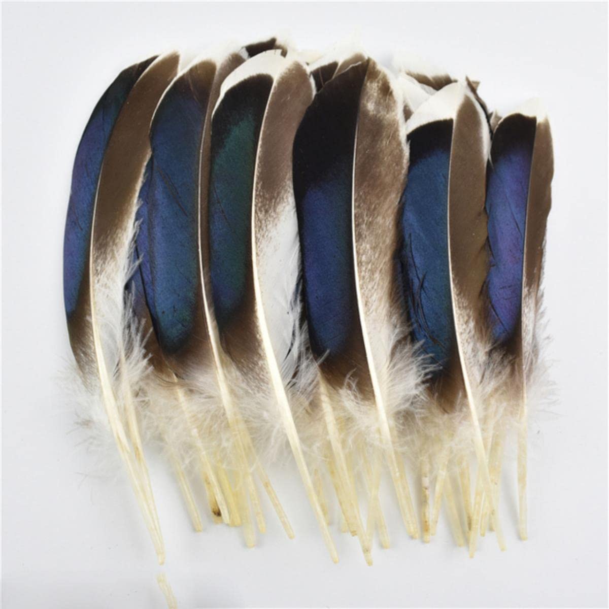 Natürliche Pfauenfasanenfedern, kleine Gänse- und Hühnerfedern, Federn, DIY-Handwerk, Party, Hochzeit, Zubehör, Schmuck, dekorativ, Größe 10–15 cm, 500 Stück