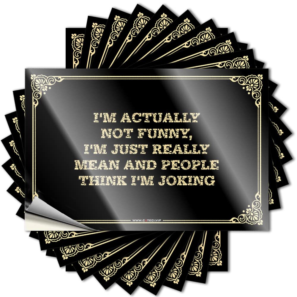 Work Office Decor Bumper Durable Window | I'm Actually Not Funny, I'm Just Really Mean and People Think I'm Joking Cats Self Adhesive Sticker for Hunting DIY(8X12CM)