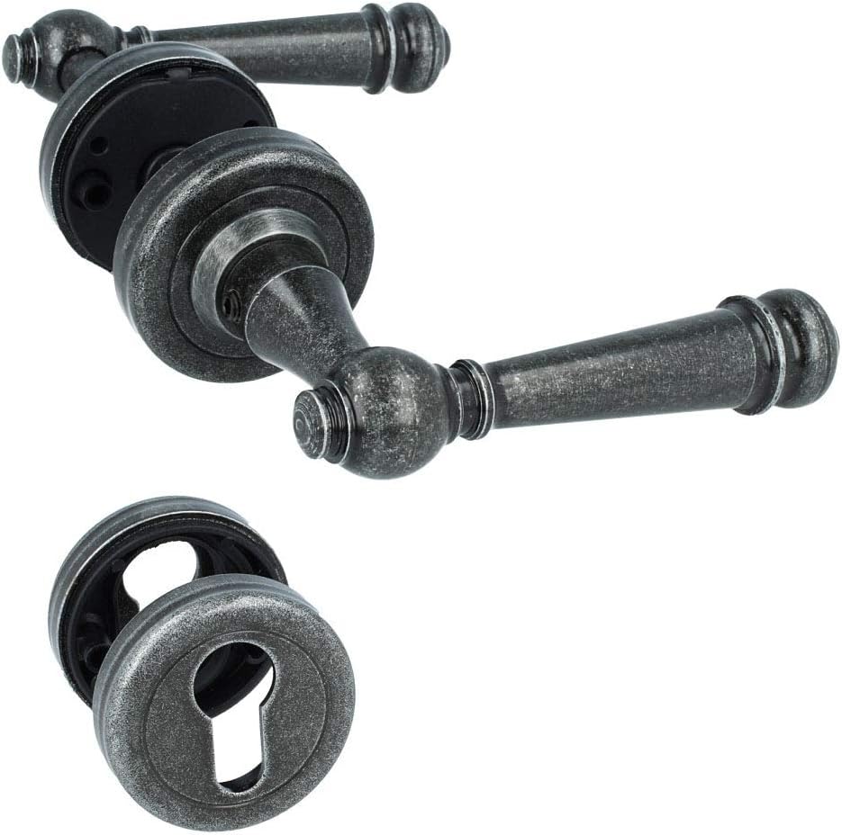 Türdrücker SilvrettaR Poignée de porte en fer avec ressort de — free download