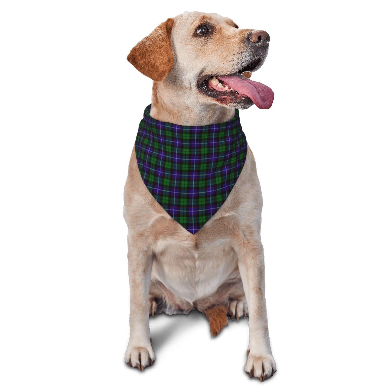 Sipeigyd Pet Triangle Scarf, Clan Mitchell Tartan pet cat and Dog Scarf, Pet Clothing Accessories, Plaid Pet Scarf, for Small to Large Dogs Cats