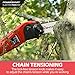PowerSmart Pole Saw, 13-Foot Max Reach Electric Pole Saw For Tree Trimming, 9-Inch Pole Chainsaw with Automatic Chain Lubrication System, 120V 6Ah Power Pole Saw For Branch Cutting