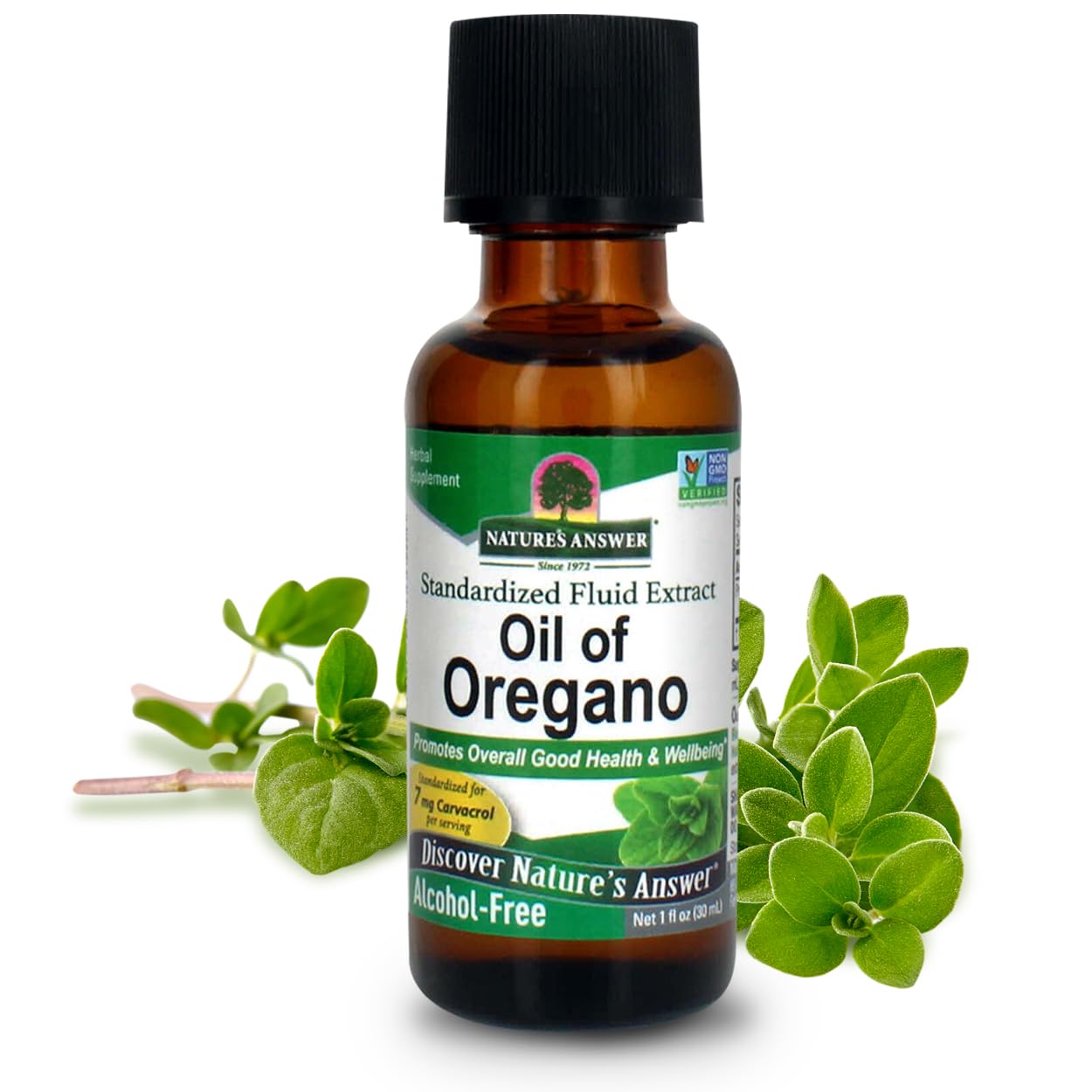 Nature's Answer - Oil Of Oregano, 1 fl oz liquid