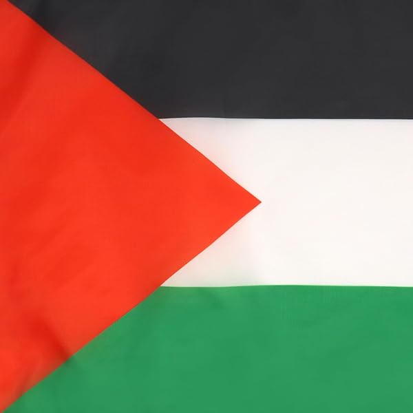 AZ FLAG Bandiera Palestina 45x30 cm - Bandierina Palestinesa 30x45 cm Cordicelle - 3