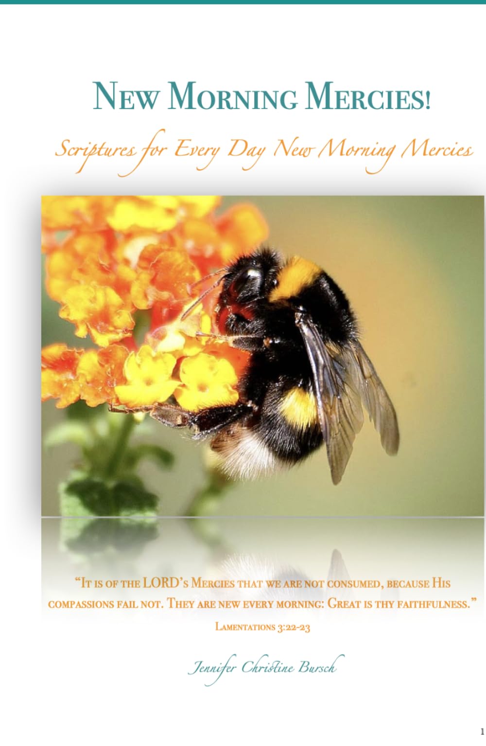 New Morning Mercies!: Scriptures for Every Day New Morning Mercies