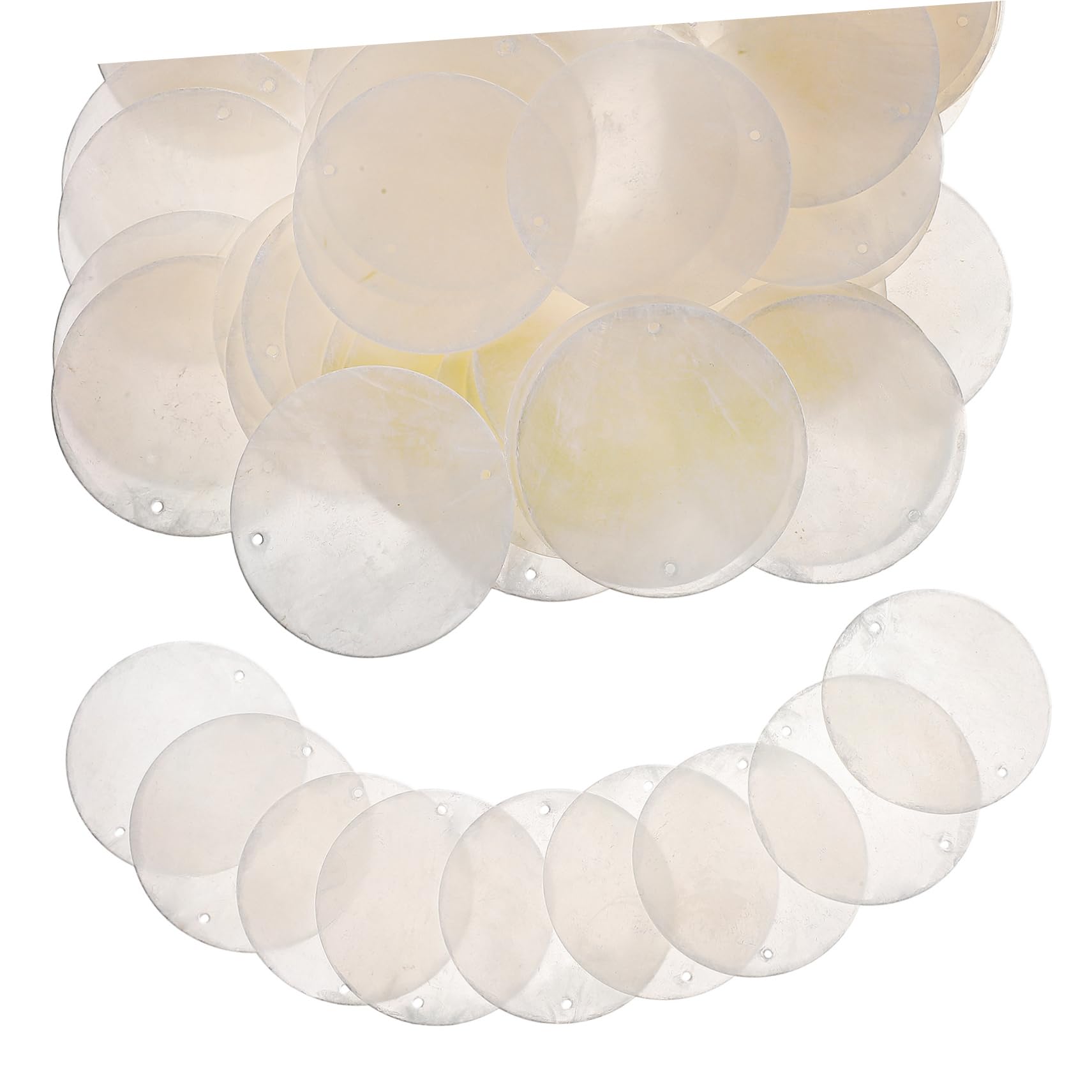 Melogina Gepolijst Grote Schelp 10-12 cm | Grote Schelpen | Aan de Punt