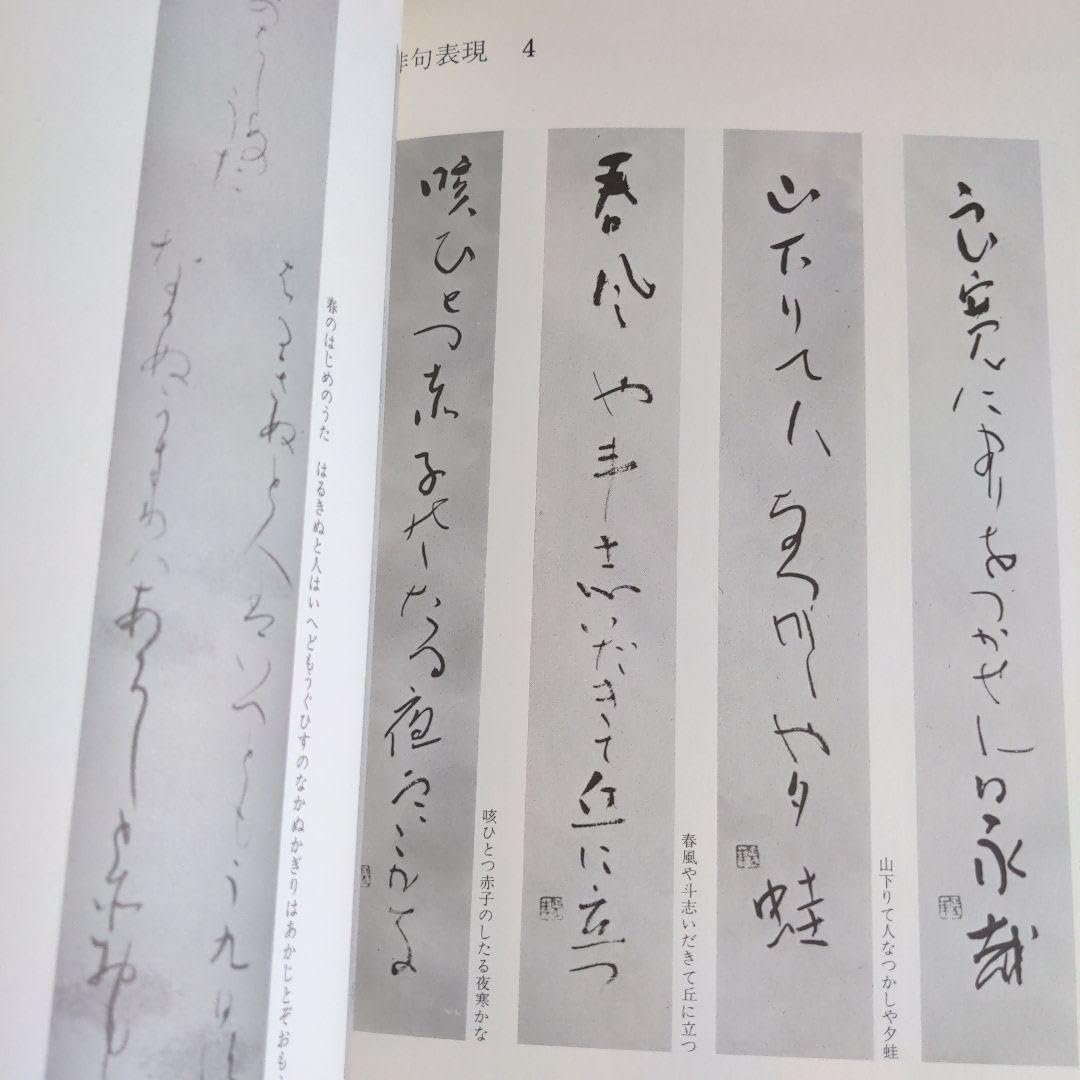 Amazon.co.jp: 書道書籍 色紙 短冊 扁額 茶掛の書き方 : おもちゃ