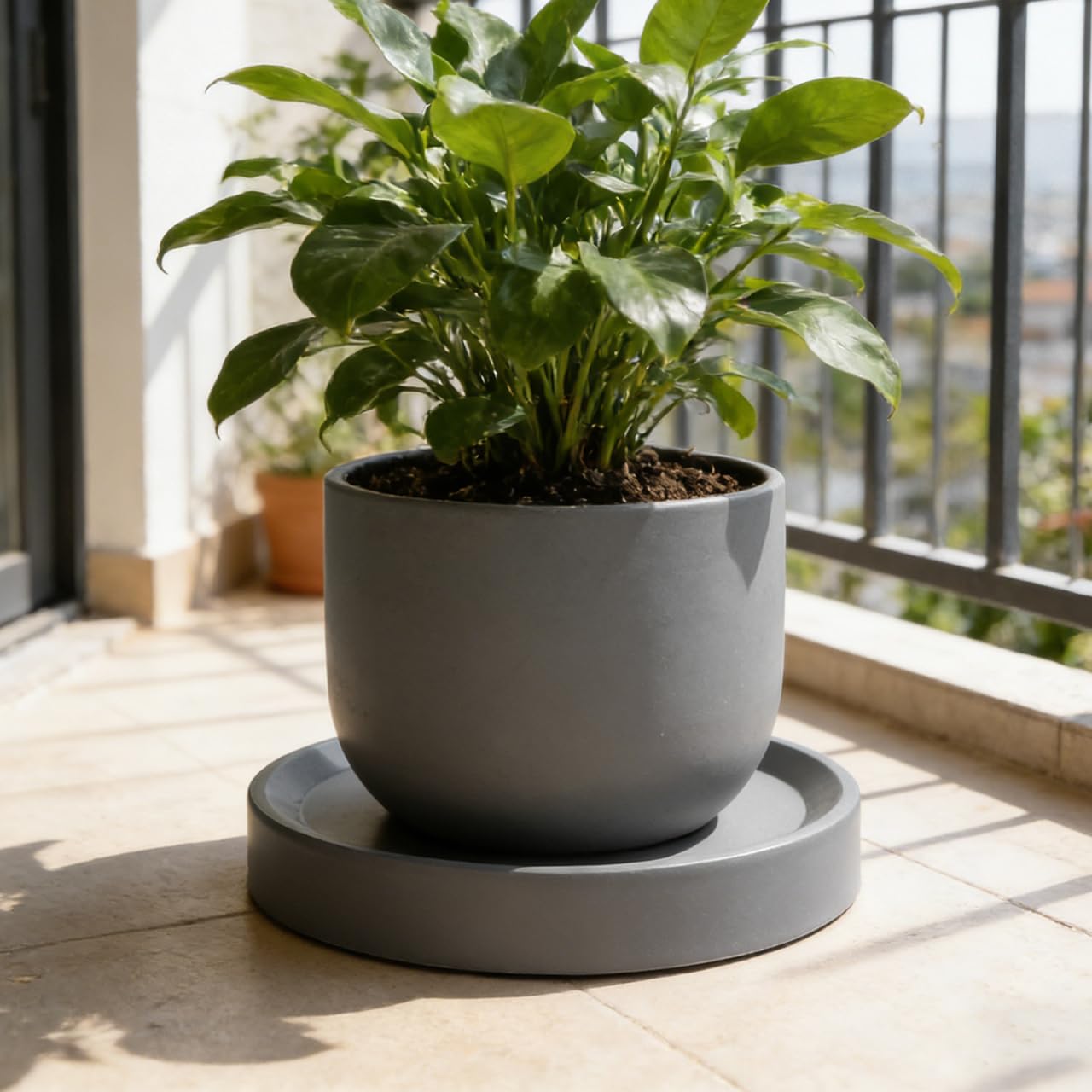 DOITOOL Support Pot De Fleur à roulettes Invisibles - Plateau Roulant avec Soucoupe IntéGréE - Socle Chariot Gris Noir pour ExtéRieur Et IntéRieur - Repose Plante Lourd Base Mobile