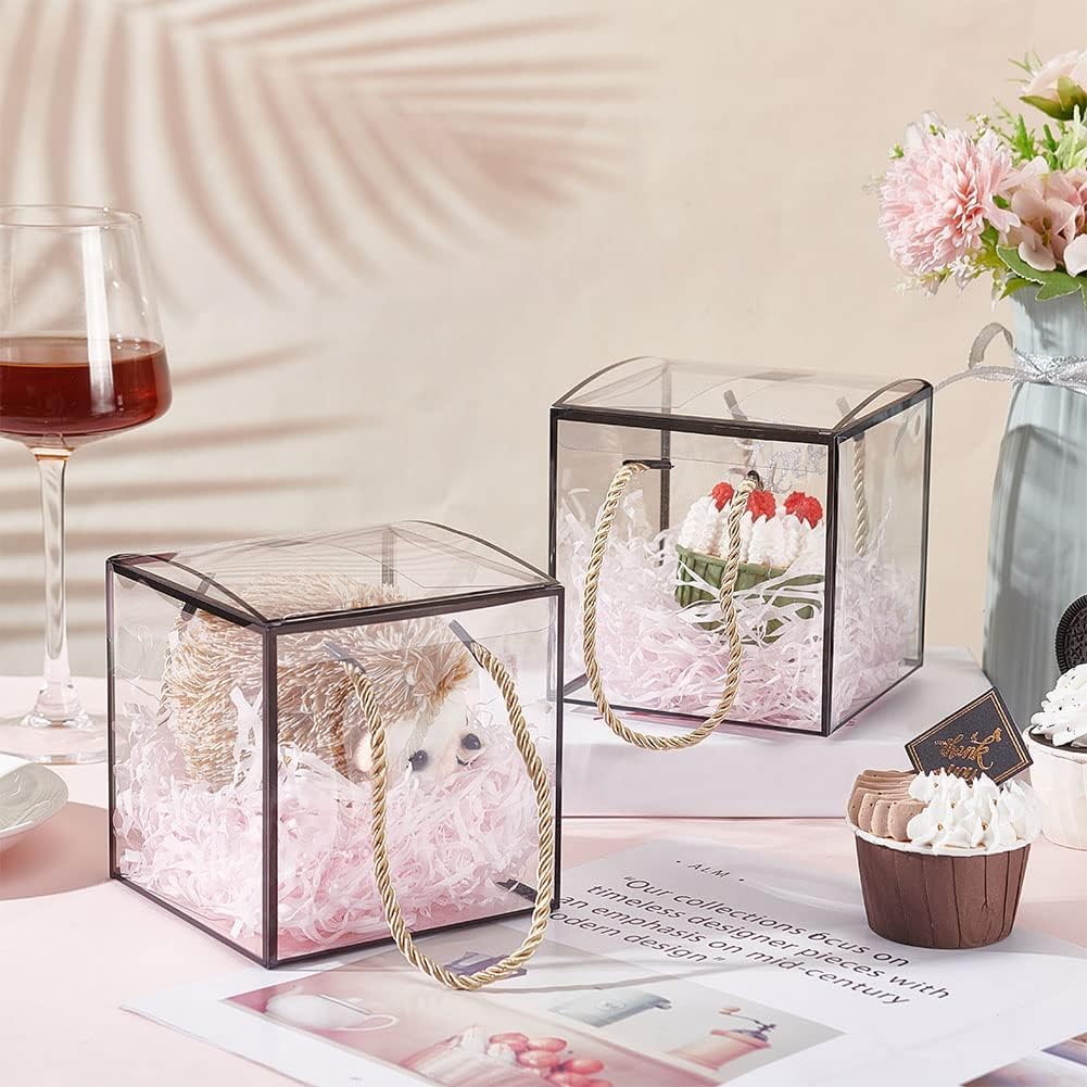 SATYAM KRAFT 6 Pcs Transparent Goodie Gift Boxes with Black Border | Decorative Boxes for Return Gifts, Birthday, Party, Hampers, Packaging & Gifting (12x12x12 cm, Black)