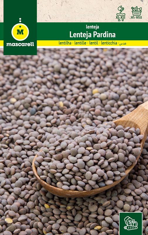 Mascarell Semillas, LENTEJAS, Semillas Huerto, LENTEJA PARDINA, Crea tu Propio Huerto Urbano y Cultivo en Casa, Plantas Hortícolas, 30 Gramos
