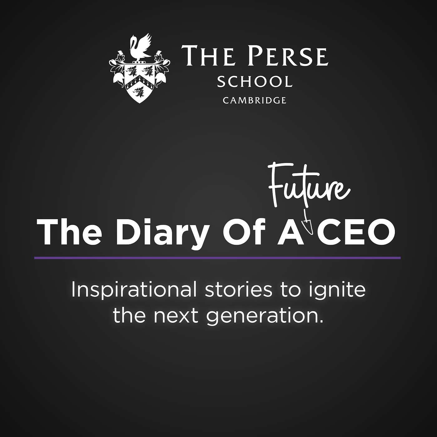 The Diary of a Future CEO