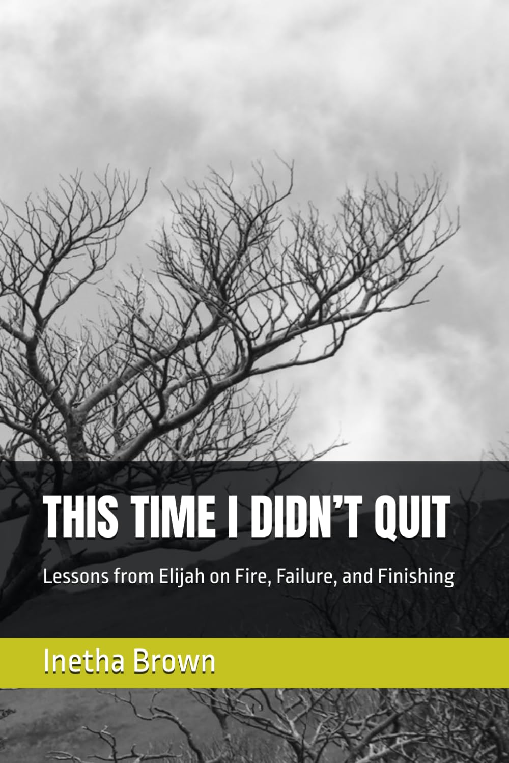THIS TIME I DIDN’T QUIT: Lessons from Elijah on Fire, Failure, and Finishing