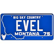Celebrity Machines | Evel Knievel | EVEL | Vanity Plate, Stamped Aluminum, Metal Decorative Tag, Corrosion Resistant, Quality Novelty Sign, Wall Decoration, Wall Hanging